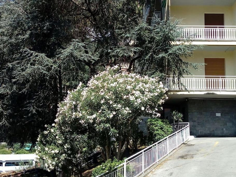 Alma Vacanza Rapallo Ngoại thất bức ảnh